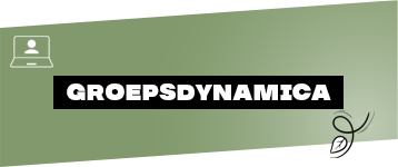 Groepsdynamica
